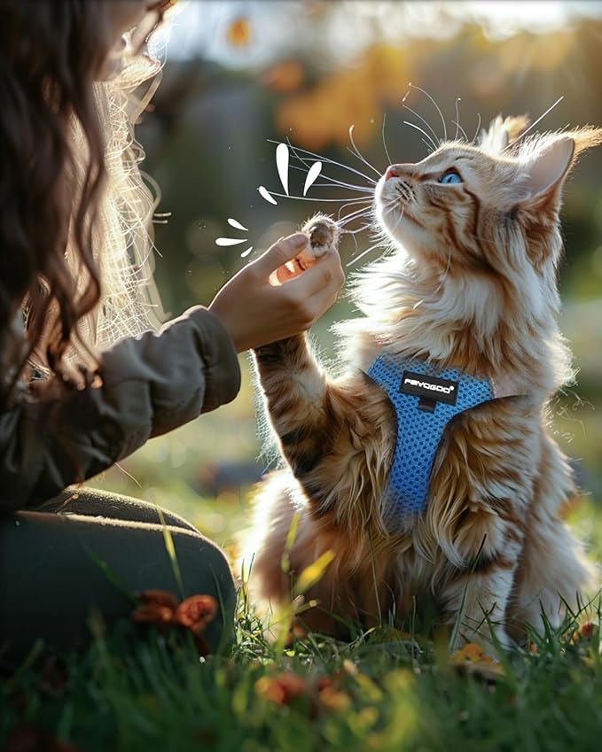 FAYOGOO Cat Harness, Cat Leash and Harness Set for Walking Escape Proof, Harness for Small Cats/Small Dogs, Large Kitten/Puppy Harness and Leash, Harness for Cats S-XXL(Tranquil Teal, Large)