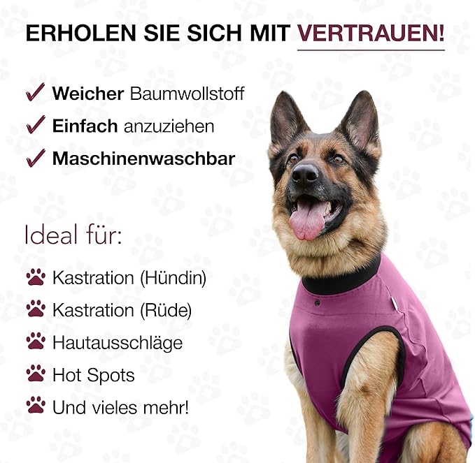 BellyGuard Dog Surgery Recovery Suit, Dog Onesie for Post-Op Care, Recovery Apparel for Female and Male, Surgical Body Cover for Canine Healing Support