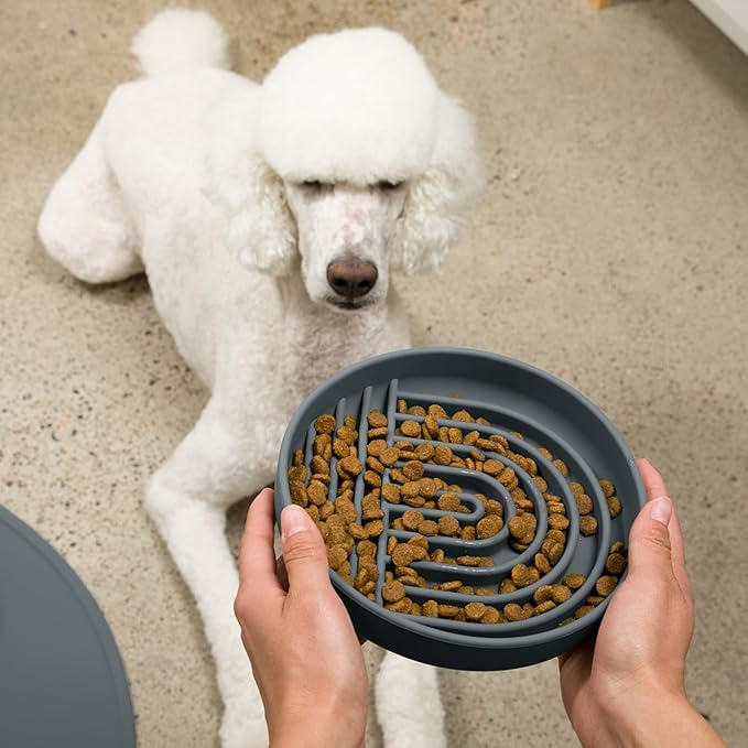 Should We Go? Slow Feeder for Dogs & Puppies, The Slowdown Bowl Silicone Slow Eating, Modern Lick Mat Design, Reduces Gulping, Fits 2.5 Cups 9.5” Across x 1.5” Tall, Mealtime Challenge, Large-Charcoal