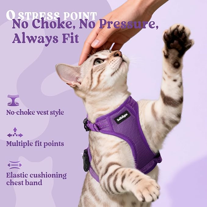 rabbitgoo Cat Harness and Leash, Escape Proof Vest with 3 Adjustable Buckles, Soft Comfortable Kitten Harness, Easy to Wear, Reflective for Safe Outdoor Walking, Medium, Purple