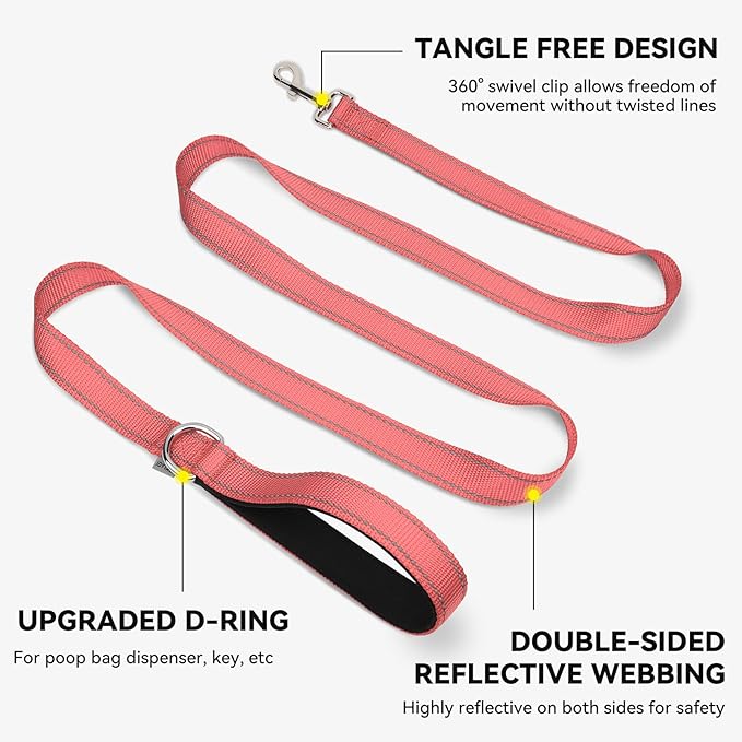 Joytale Dog Leash, 4 FT Double-Sided Reflective, Padded Handle Nylon Heavy Duty Leashes for Small Dogs Walking, Neon Pink