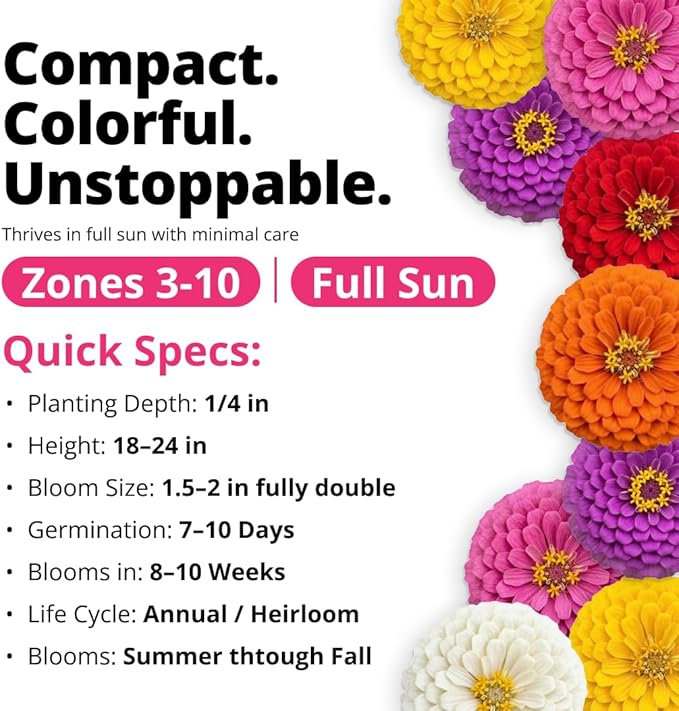 HOME GROWN Zinnia Lilliput Mix Flower Seeds – 600 Seeds (4g) Zinnia elegans – Colorful Zinnia Seed Mix for Planting Spring 2026 for Garden Beds, Containers & Cut Flowers, Easy Grow Zinnia Seeds