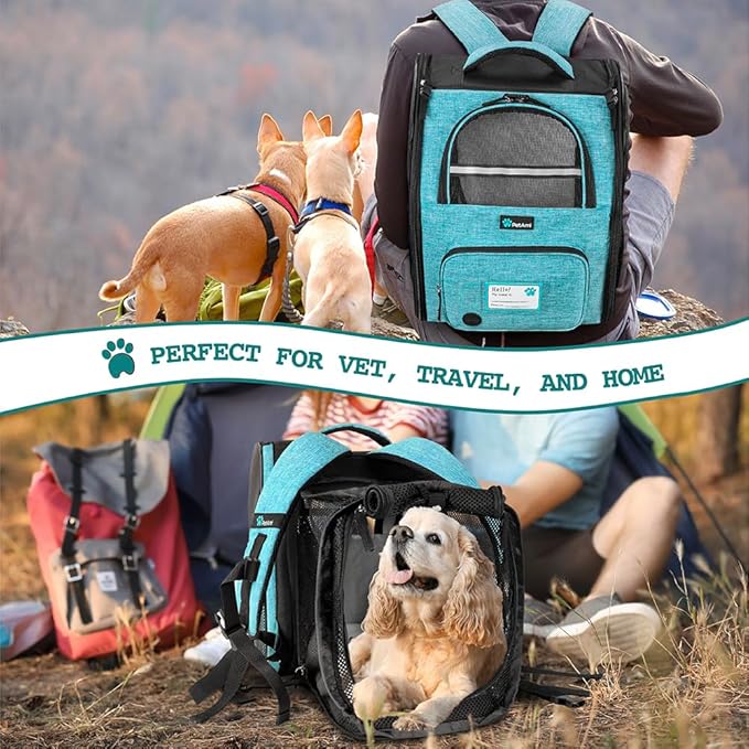 PetAmi Expandable Dog Backpack Carrier for Cats & Pets, Breathable Cat Carrier Backpack with Top Window & Multi-Entry, Ventilated Foldable Travel Carrier for Small Medium Pets up to 18 lbs, Teal Blue