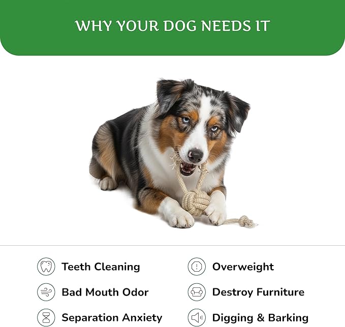 Natural Hemp Dog Rope Toy, Durable Chew and Tug Toy for Medium and Large Dogs, Biodegradable Dental Cleaning Pet Toy (Knots Ball)