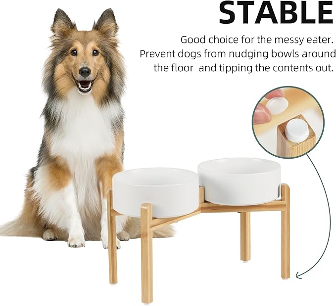 Havniva Ceramic Raised Double Bowls Set with Stand, Food & Water Bowls for Large Breed Dogs, Weighted Dog Dishes, Pet Bowl(8.2'',60OZ, White)
