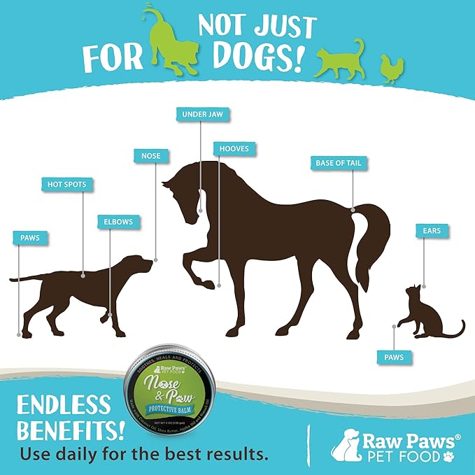 Raw Paws Nose & Paw Balm - Value Size - (4-Ounce) - Dog Nose Balm & Cat Nose Relief - Frenchie, English Bulldog - Snout Soother for Dogs & Cats - Dog Nose Butter Dogs Need - Nose Balm Natural
