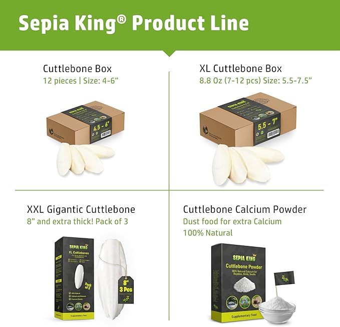 Sepia King - Medium - 100% Natural Calcium Supplement - Premium Cuttlebone Perfect for Birds, Tortoises, Snails, Reptiles - 12 Pack