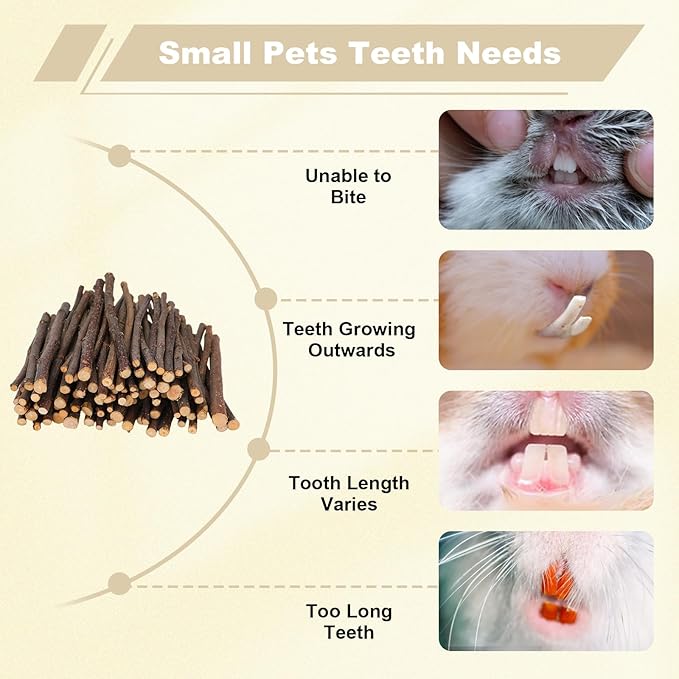 500g Apple Sticks Small Animals Molar Wood Treats Chew Toys for Rabbits Chinchillas Guinea Pig Hamster Gerbil Parrot Bunny Chews Stick Toys
