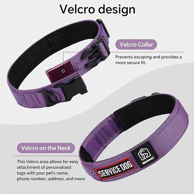 Tactical Durable Dog Collar, Metal D-Ring, Adjustable Heavy Duty Dog Collar with Heavy Quick-Release Buckle for Medium Large Dogs (Purple, M)