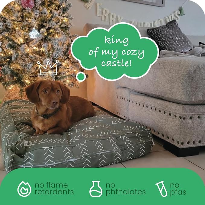 Molly Mutt Small Dog Bed Cover - Forever Young Print - Measures 22”X27”X5’’ - 100% Cotton - Durable - Breathable - Sustainable - Machine Washable Dog Bed Cover (Dd82a)