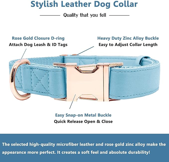 Soft Leather Dog Collar and Leash (6.6') Set - Stylish Rose Gold Heavy Duty Metal Buckle, 4 Adjustable Lengths Leash for Small Medium Large Dogs - Comfortable & Easy to Clean Light Blue M(13.8"-19.7")
