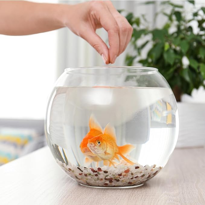 SynHHergyx Plastic Fish Bowl 30 oz Decorative Small Mini Fishbowl Round Plastic Aquarium Fish Bowls Unbreakable Heavy Duty Bowl for Centerpiece Vases, Party Decorations, Pack of 1