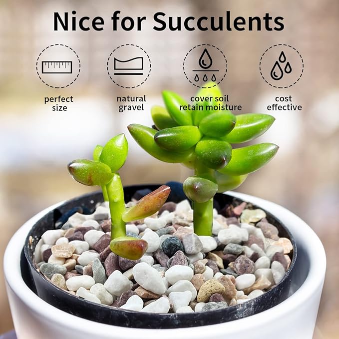 FANTIAN 2 lbs Natural Mixed Color Pea Gravel Pebbles, 3/8 inch Decorative Rocks for Succulents, Pebbles for Indoor Plants, Vases, Aquarium Gravel, Top Dressing, Outdoor Decorative Stones