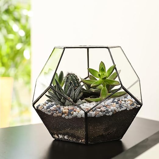 Pulovin 5 lbs Small Rocks for Plants, 1/5 Inch Pebbles for Indoor Plants, Natural Decorative Pea Gravel for Aquarium, Fish Tank, Terrarium, Succulents, Bamboo Plants, Vases, Cactus, Crafts