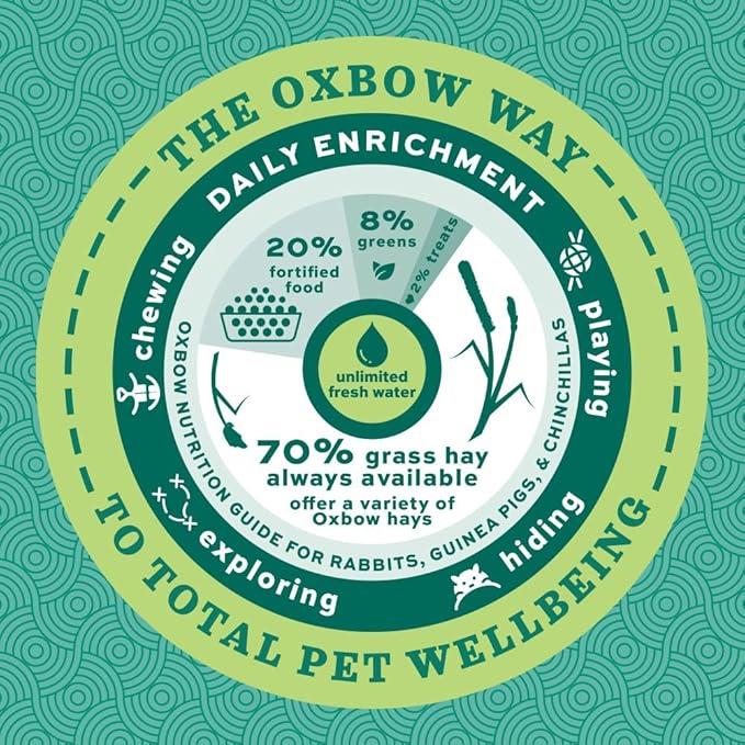 Oxbow Hay Toppers Meadow Blend, Bunny Treats, Foraging Enrichment for Rabbits, Chinchillas, Guinea Pigs, and Other Small Herbivores, Timothy Hay Topper, Premium Rabbit Food Additive, 2oz
