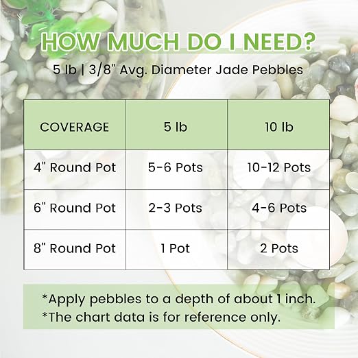 SIDONG 5 LB Jade Pebbles, 2/5 Inch Natural Decorative Polished Jade Stones, Jade River Rocks for Succulents, Cactus, Vases, Indoor Plants, Garden Landscaping, Bamboo
