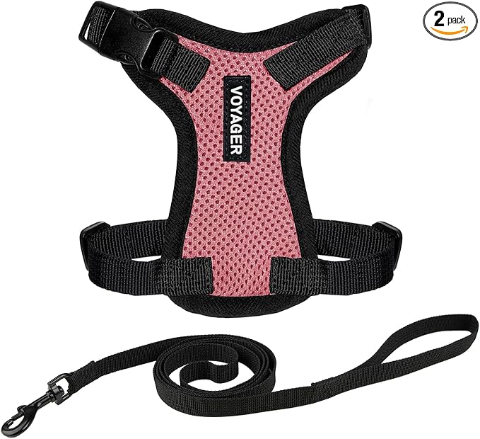 Voyager Escape-Proof Step-in Lock Cat Harness & 5ft Neoprene-Handle Leash Set All-Weather Mesh with Reflective Stitching for Small to Large Cats by Best Pet Supplies, Pink/Black Trim, XS