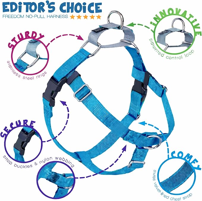 2 Hounds Design Freedom No Pull Dog Harness, Adjustable Harness, Easy Walking & Comfortable Control, Fits Small, Medium & Large Dogs, Solid Colors, Made in USA, 1" XL, Turquoise