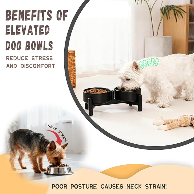 Raised Ceramic Dog Bowl Set - Elevated Double Dishes with Stainless Steel Stand - Food and Water Bowls for Small Dogs and Indoor Cats - Each Holds 1.6 Cups (10.8 fl oz) - Black
