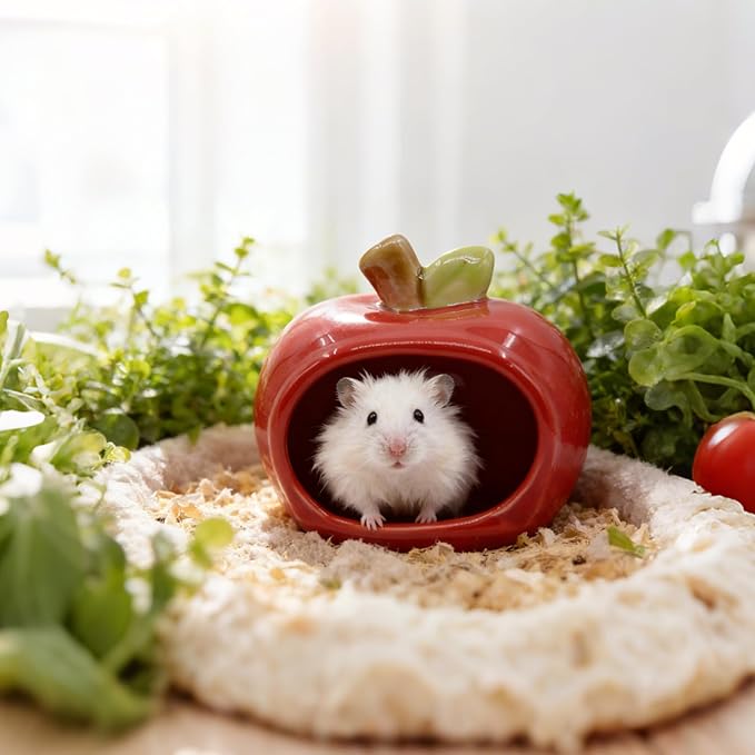 Cute Ceramic Hamster Hideout Habitats Syrian Dwarf Hamster Hide Hideaway House Cozy Bed Mini Chinchilla Gerbils Mice Hut Small Animals Sand Bath Cave Cage Accessories (Red)