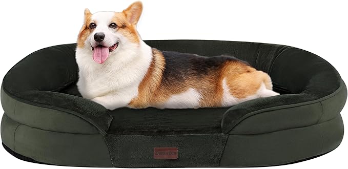 Dwanton Orthopedic Dog Bed for Medium Dogs with Gel Memory Foam, Waterproof Dog Sofa, Washable Pet Bed with Four Sided Bolster Cushion, Removable Cover & Non-Slip Bottom, 36", Green