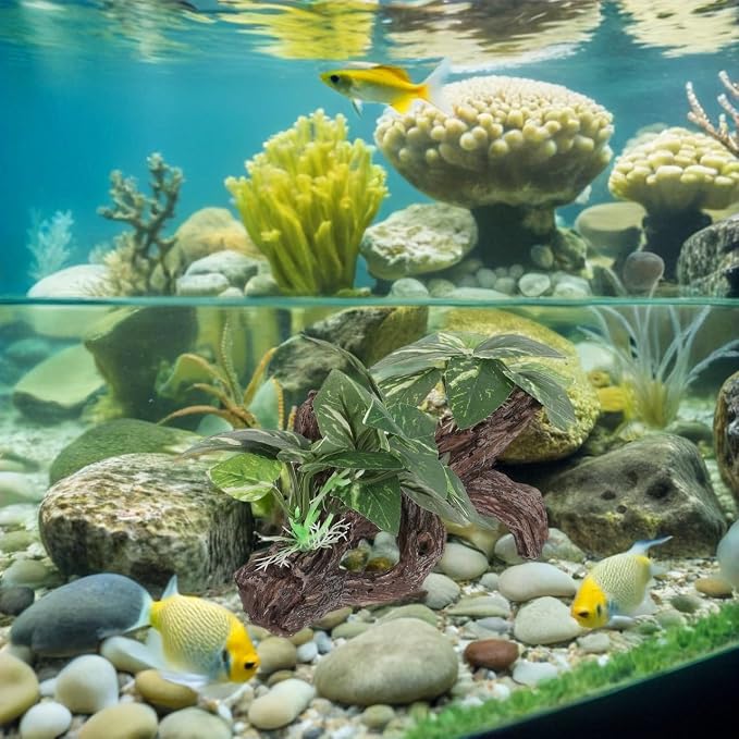 DECHOUS 4Pcs Aquarium Driftwood Decorations - Natural-Looking Driftwood Hideout Cave for Betta Fish and Shrimp Freshwater Fish Tank Decor for Aquascaping Durable Water-Resistant Aquarium Ornaments