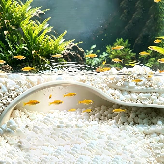 WADORN Aquarium Underground Tunnel Cave Plastic Under Gravel Tunnel Decor Sigle Hole Fish Tank Hideout Decor for Betta Fish Shrimp Corydoras Clown Loach Pleco Underwater Landscape, White