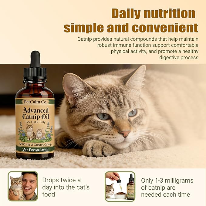 PetCalm Co Advanced Catnip Oil - 5000 mg Catnip, Vet Formulated, for Cats Only, Cat Relaxation Supplement (2.1 fl oz)