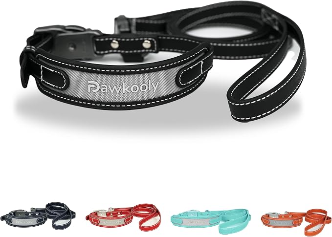 MagEase Dog Collar with 4FT Leash | Adjustable | Anti-Wrinkle, Bite & Stain-Resistant Leather | Soft & Skin-Friendly | 450LB Escape-Proof Magnetic Buckle (Black, Extra Large)