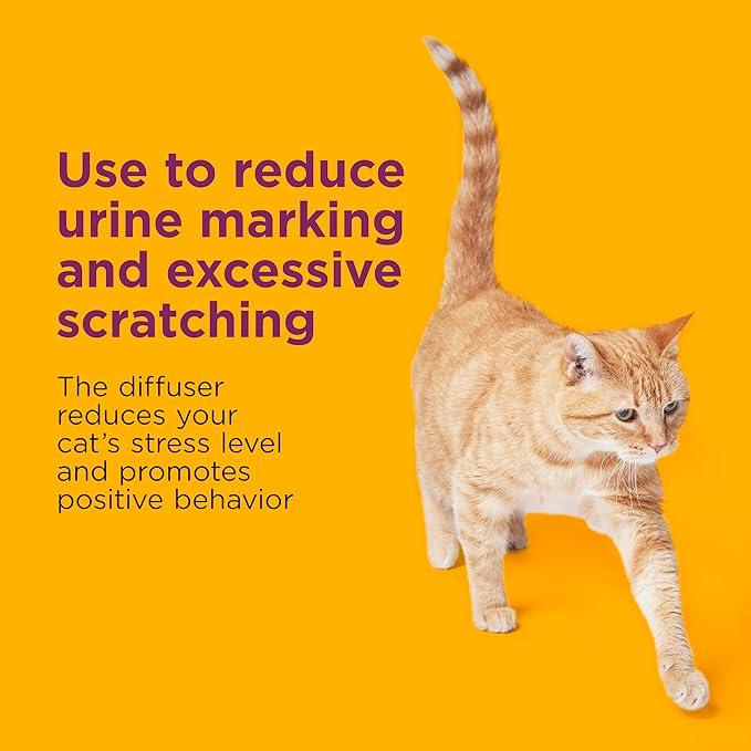 Comfort Zone Multi Cat Calming Diffuser Refill–Cat Calming Pheromone Refills Help Reduce Anxiety, Stress, Scratching, Urine Marking, Multi-Cat Aggression,(30-Day Refills, 180-Day Supply)(Pack of 12)