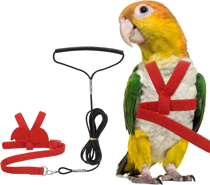Bird Harness Leash, Adjustable Pet Parrot Bird Harness and Leash Lightweight Anti-Bite Flight Training Rope with Cute Wing, (Red, XS), Intended for Parrots/Pigeons/Budgies