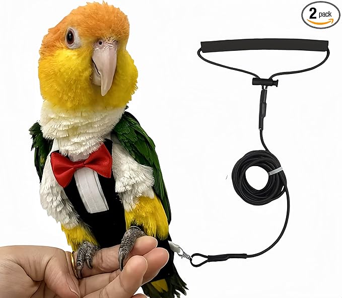 Bird Diapers Bird Harness Tuxedo Flight Suits with 80in Flying Leash Parrot Nappy with Waterproof Inner Layer Urine Wet Suite for Cockatiel Conure Parakeet Macaw Budgie-Black,M