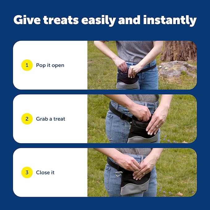 PetSafe Treat Pouch Sport - Easy Access Waterproof Treat Pouch for Daily Use - Convenient Phone & Keys Carry with Dual Inner Pocket & Front Storage Pocket - Adjustable Fit - Standard - Red