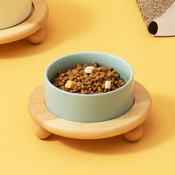 Havniva Raised Cat Water Bowl 5.1” Elevated Ceramic Cat Food and Water Bowl Whisker Friendly Pet Water Bowls for Indoor Cats, Wide Kitten Dish Relieve Whisker Fatigue Non Slip Cat Feeder