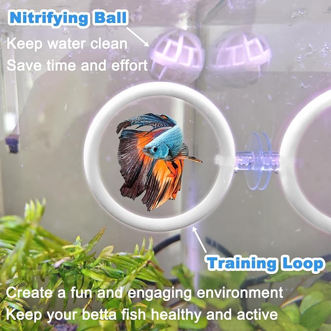 Betta Fish Toys - 4 Training Rings & 2 Bio Filter Balls, Beta Exercise Loop Toys and Nitrifying Balls Set, Betta Fish Tank Accessories Feeding Ring for Small Tank Decor Aquarium Water Conditioner