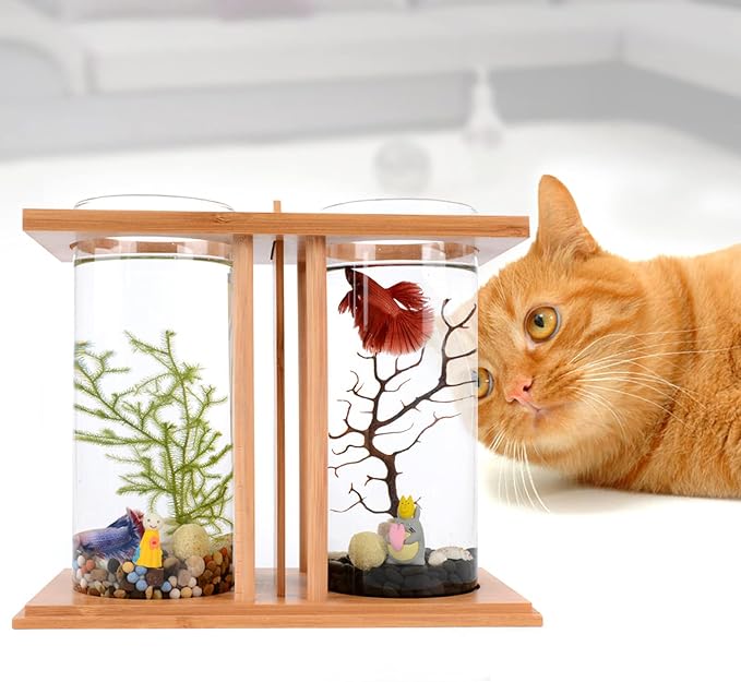 Desktop Mini Fish Tank, Dual Cylinder Glass Aquarium with LED Light, Bamboo Frame 360° View, Small Betta Goldfish Tank for Home Office Desk, 3.35 inch Diameter