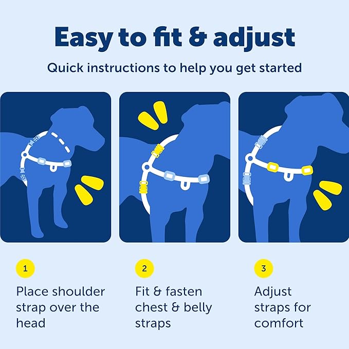 PetSafe Deluxe Easy Walk Harness - Trainer-Trusted Dog Chest Harness with Breathable Martingale Loop Design - Helps Stop Pulling with No Choking & Gagging - Large - Ocean