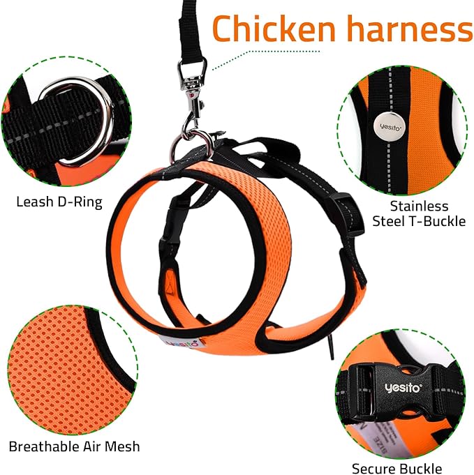 Adjustable Chicken Harness Diaper (5.4ft Leash) – Breathable & Washable Secure Training for Hens, Ducks & Chicks | Outdoor Walking & Discipline Solution