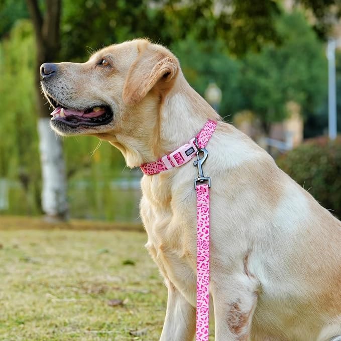 Dog Collar Leash Set, Leopard Pattern, Polyester Material, Adjustable Collar and 5ft Matching Leash, for Small Dogs.(S, Pink Leopard)