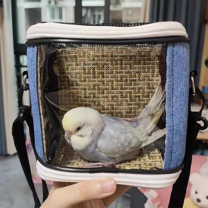 Small Animal Carrier Bag, Bearded Dragon Travel Carrier, Lizards Snak Carrier, Bird Carrier Backpack, Clear Bubble Window Backpack for Kitty, Small Pet Travel Carrier for Hedgehog Parrot