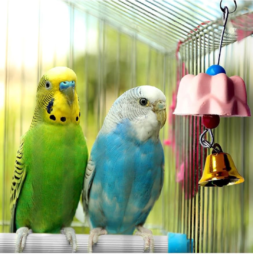 1-Pack Bird Calcium Perch with Bell Mineral Stone Chewing Toy for Beak Grinding and Trimming Parakeet Cockatiel Budgie Parrot Small Birds