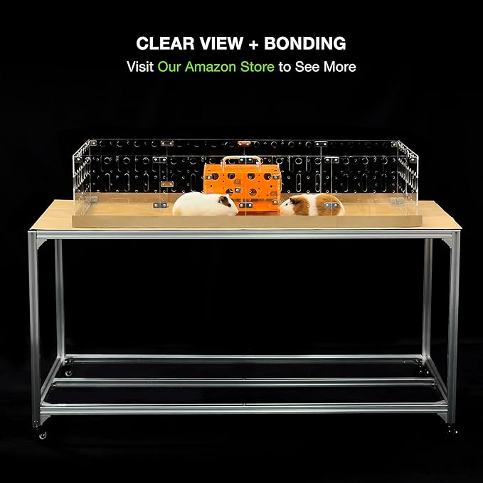GuineaLoft™ Model-A Acrylic Guinea Pig Cage - Large 4x2ft Expandable C&C Cage, Works Also for Small Roaming Animals Like Rabbits, Button Quails, Hedgehogs