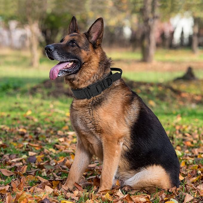 Tactical Dog Collar with Handle - Military Adjustable Dog Training Collar Soft Nylon and Heavy Duty Metal Buckle for Medium Large Dogs - with Patch (Black, Large)