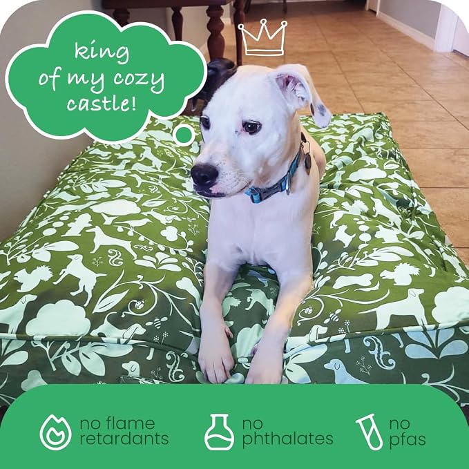 Molly Mutt Medium to Large Dog Bed Cover, Amarillo by Morning, Olive Green & Light Blue 27"x36"x5"