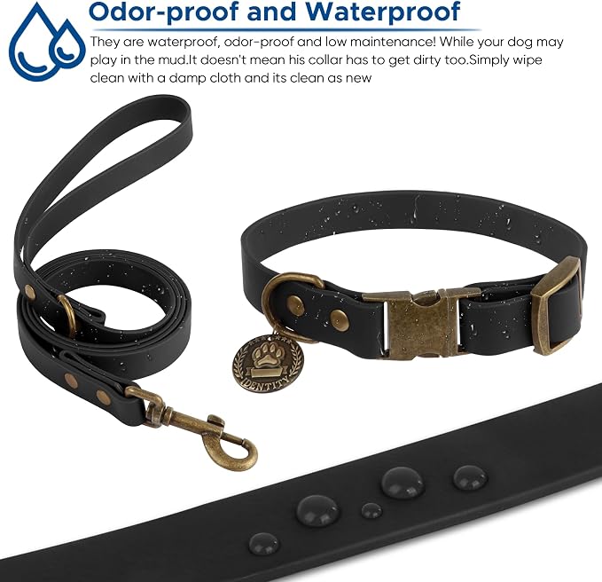 Wisedog Waterproof Dog Collar and Leash Set, Small, Black | Adjustable Puppy Collar, Cute Tag, 4FT Leash, Includes Poop Bag