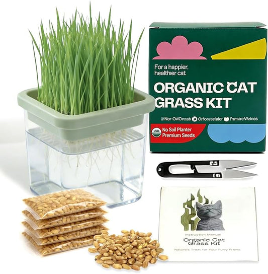Hydroponic Cat Grass Kit with 5 Pack Non GMO Seeds & Scissors - Cat Grass for Indoor Cats, Helps Cat with Hairballs & Digestion, Easy 3-Step Setup,Gifts for Cat Lovers (Food-Safe PP&AS, 7-Day Growth)