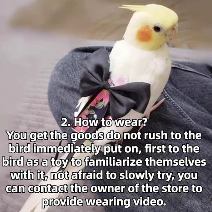 Bird Diaper Parrot Washable Diapers, Parrot Flight Suit, Reusable Nappies for Parakeet Cockatiel Mini Macaw Budgie Conure Lovebird (Beige,2M)