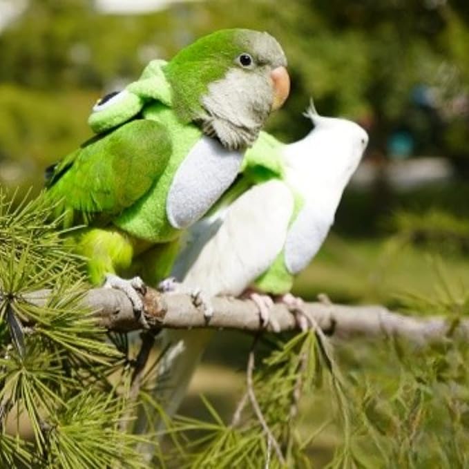 Bird Costume Diaper Flight Suit Frog Shape Hoodie Clothes Cosplay Photo Prop for Parrots Parakeet Cockatiel Sun Conure, Small Animals Apparel (Pink Without Diaper, Medium), Green