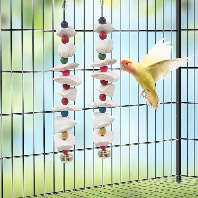 2 Pack Bird Toys with Cuttlebone, Parakeet Toys, Bird Beak Grinding Stone, Cage Accessories for for Parakeet Conure Lovebird Cockatiel Finch Canary Hamster Chinchilla Rabbit (Small)