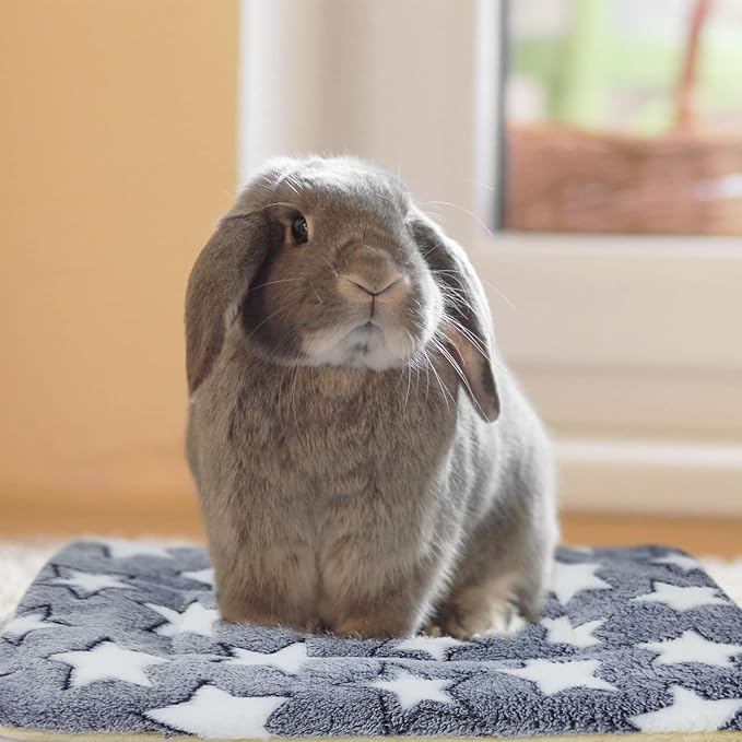 3PCS Guinea Pig Bed Soft Rabbit Bedding Cage Liner Warm Bunny Mats Pee Pads Fleece Blanket Plush Hamster Sleep Beds Ferret Squirrel Hedgehog Rat
